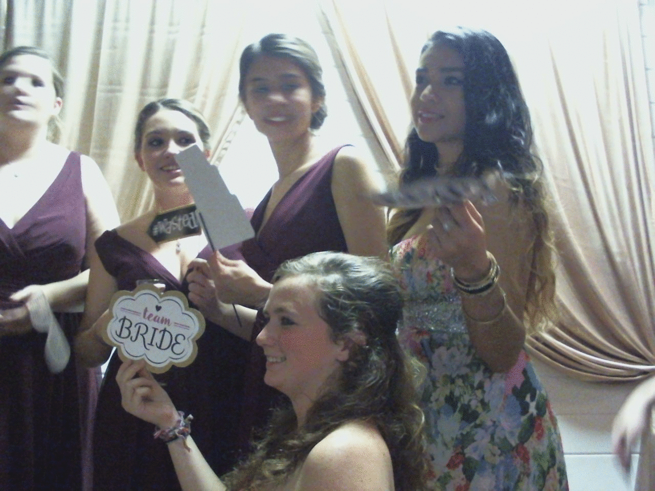 delightful-beaver-1"