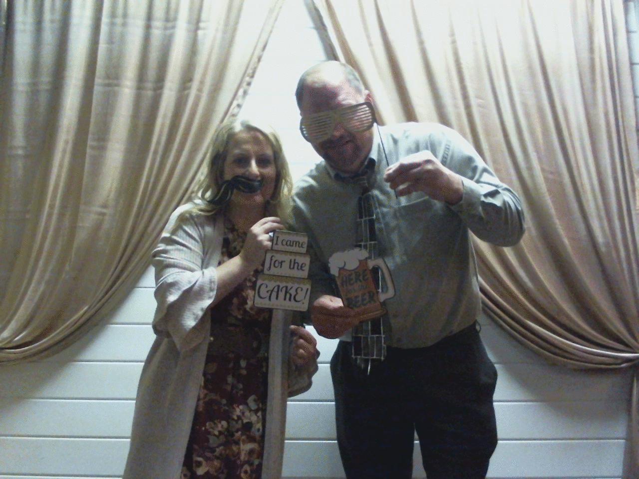 wonderful-dolphin-2"